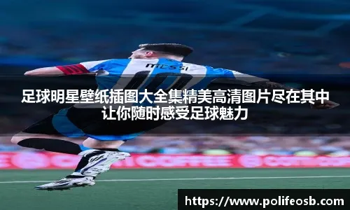 2025中国跆拳道公开赛落幕