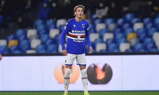 他在比赛细 他在比赛细