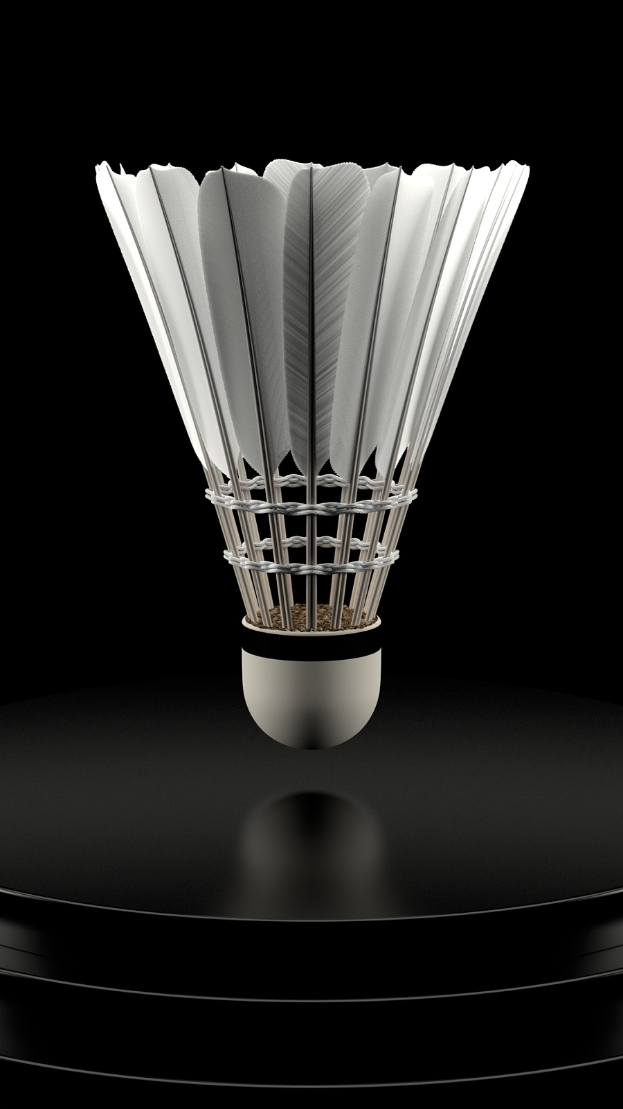 从一个侧面 从一个侧面