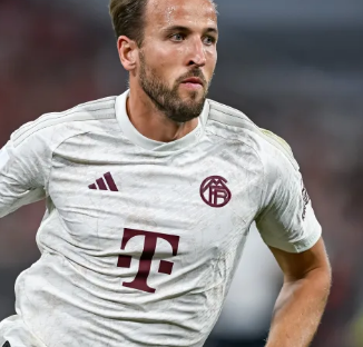 计划报价求 计划报价求